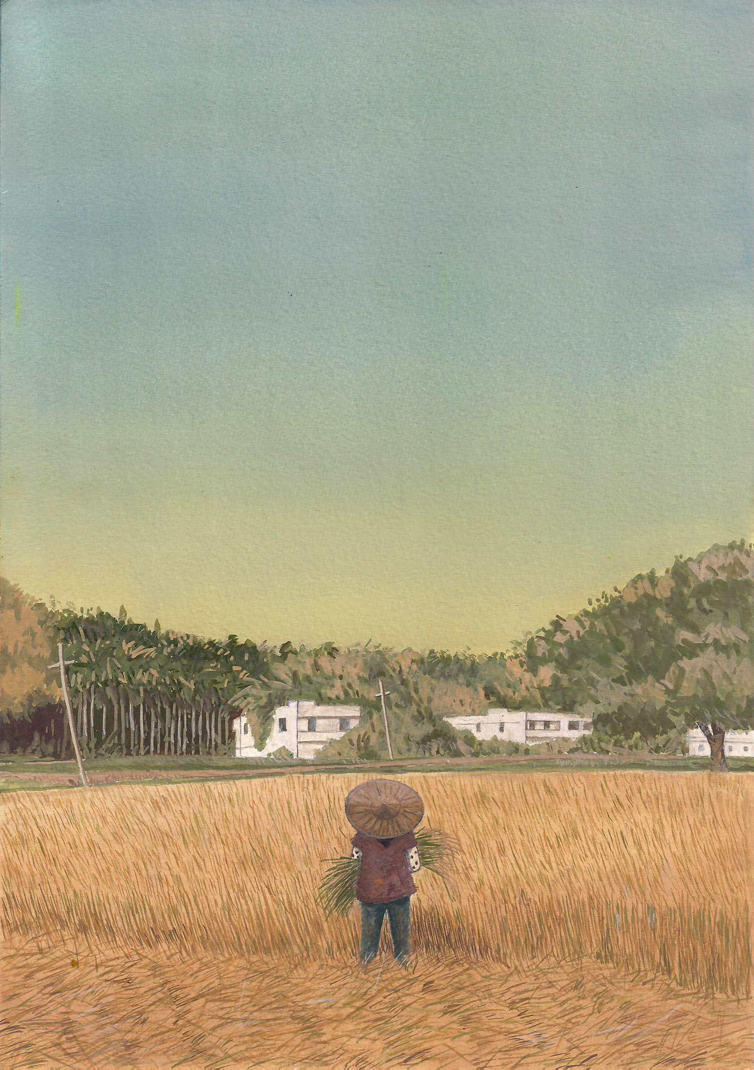harvest