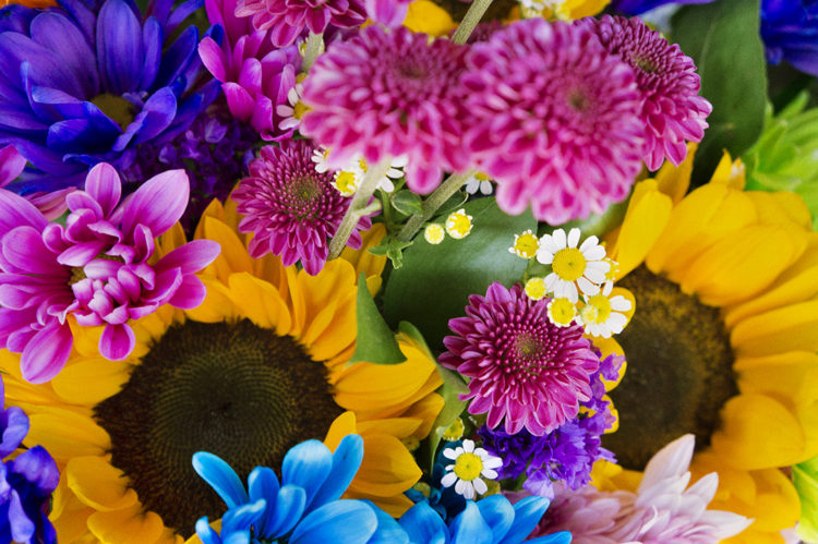cover2