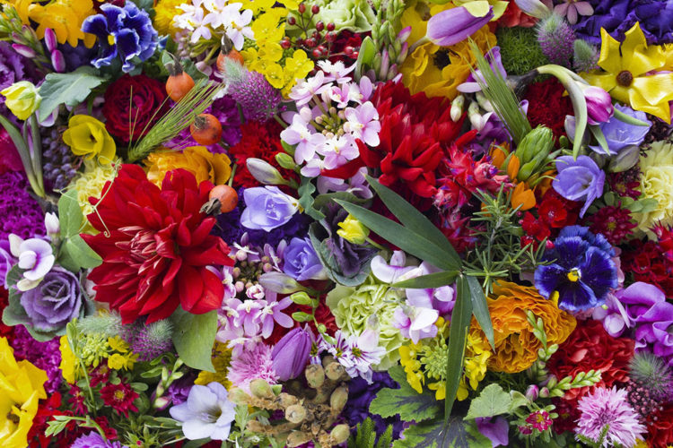 earthly-flowers_3826