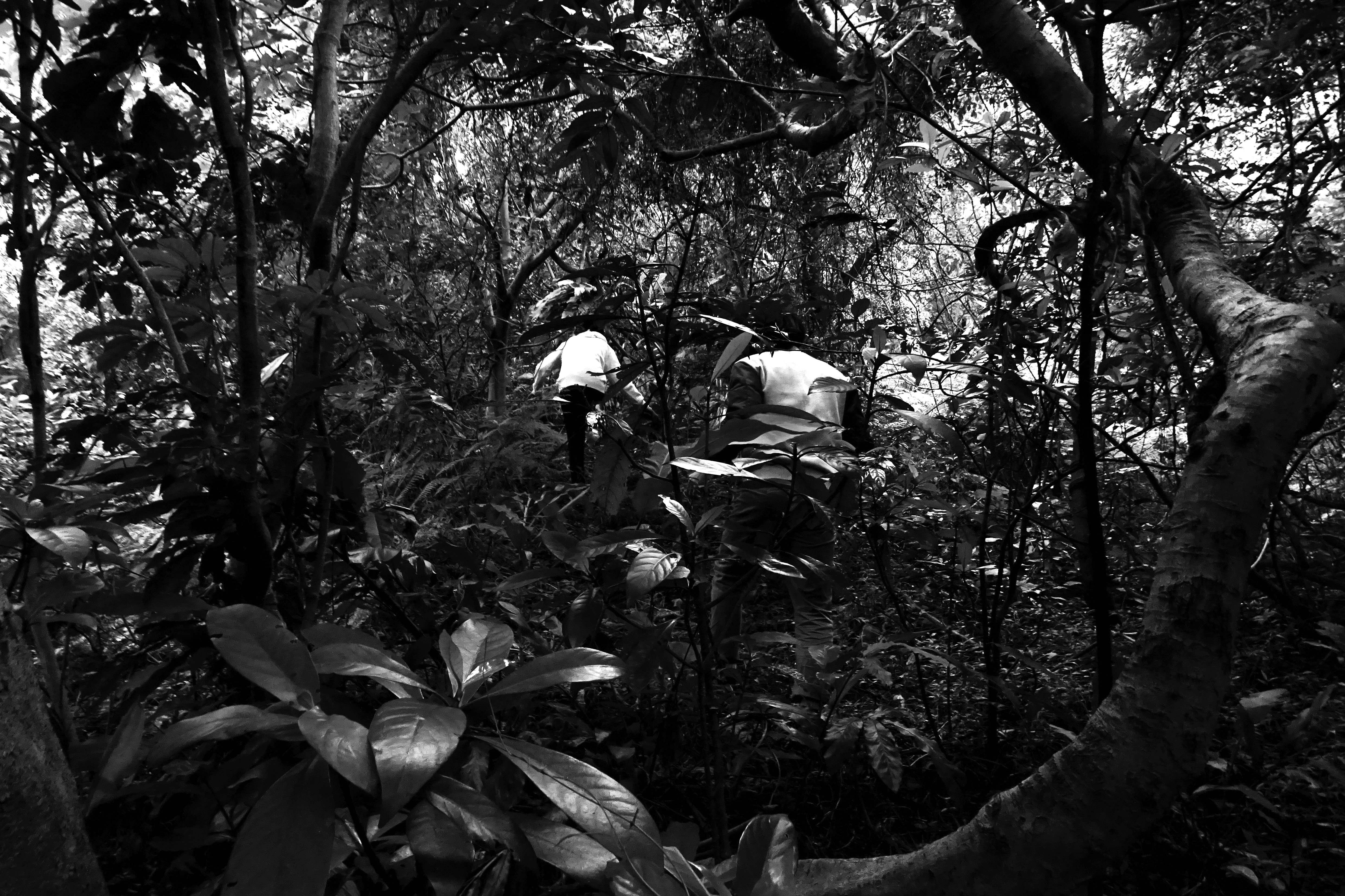 DSC02605-1