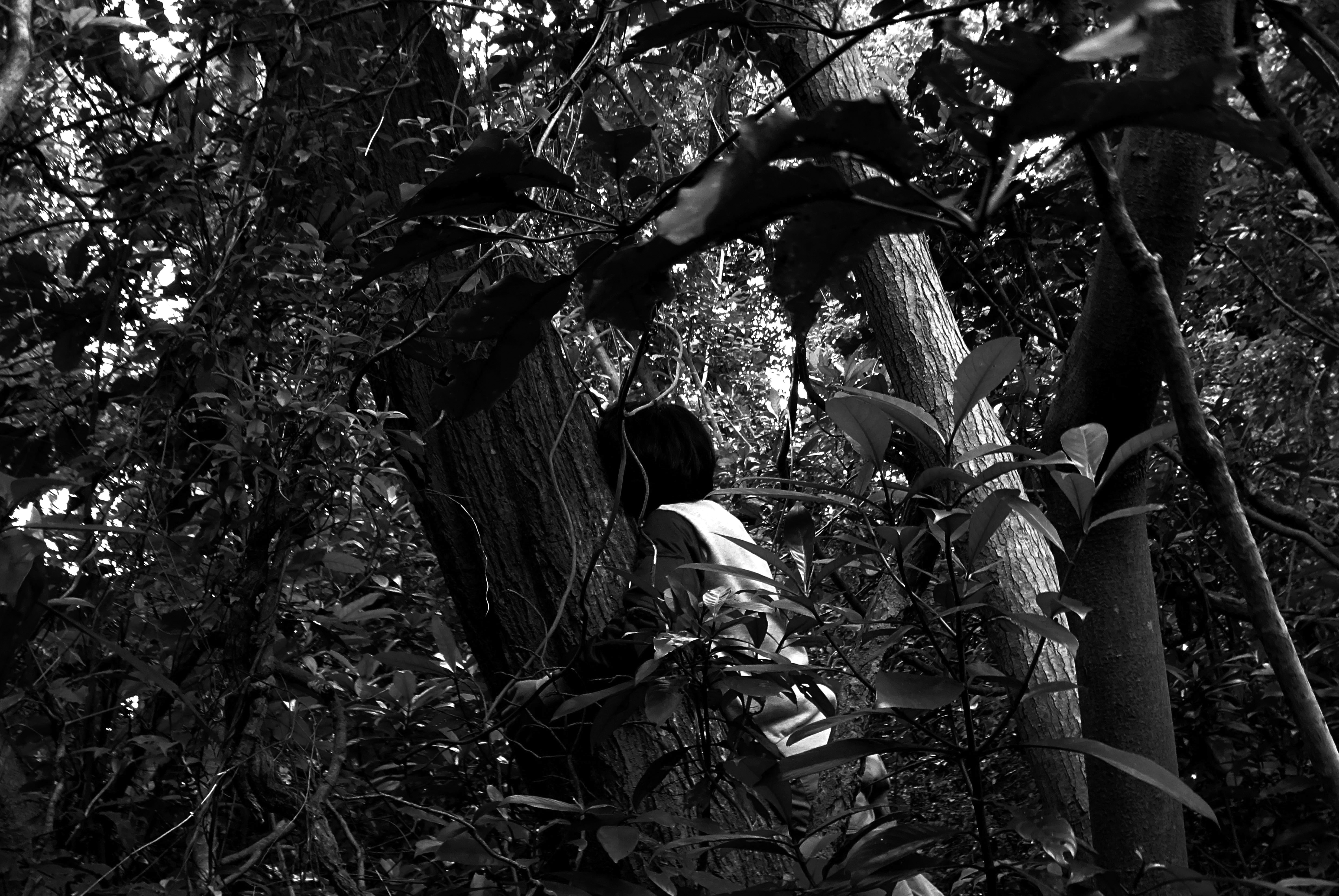DSC02624-1