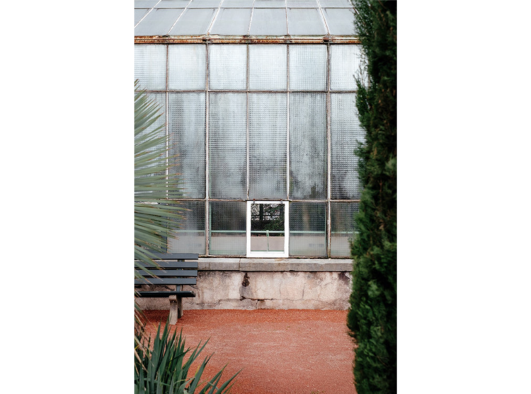 拍出植物朦朧美！瑞士攝影師Samuel Zeller如印象派畫作的溫室植物攝影