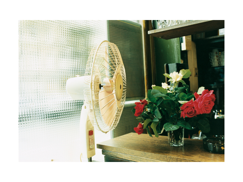 清新風格攝影美學！三位女性日本攝影師川內倫子、市橋織江、高橋ヨーコ的溫柔視角