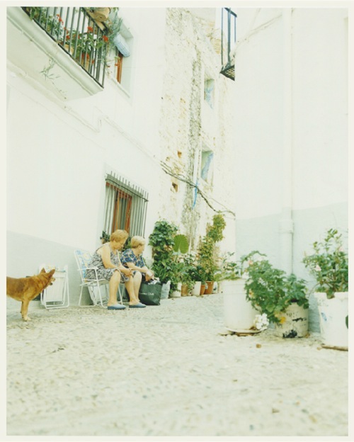 清新風格攝影美學！三位女性日本攝影師川內倫子、市橋織江、高橋ヨーコ的溫柔視角