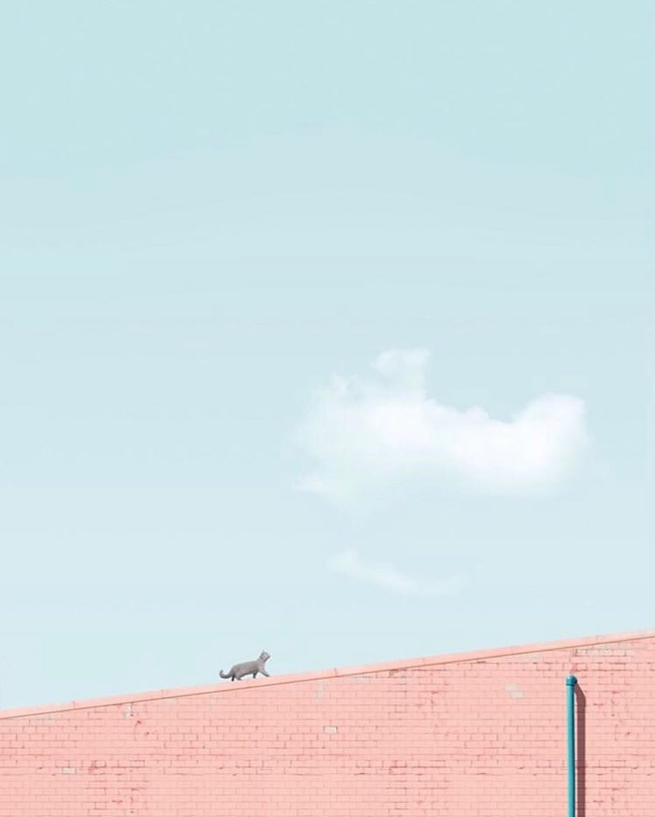 IG極簡風美照5大手機攝影技巧！流線感構圖、色彩對比拍出質感照片