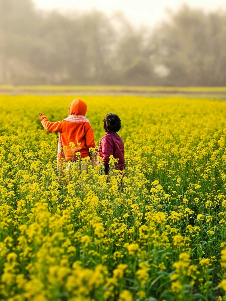 兩名孩子在金黃油菜花田中行走的背影,背景是朦朧的樹林