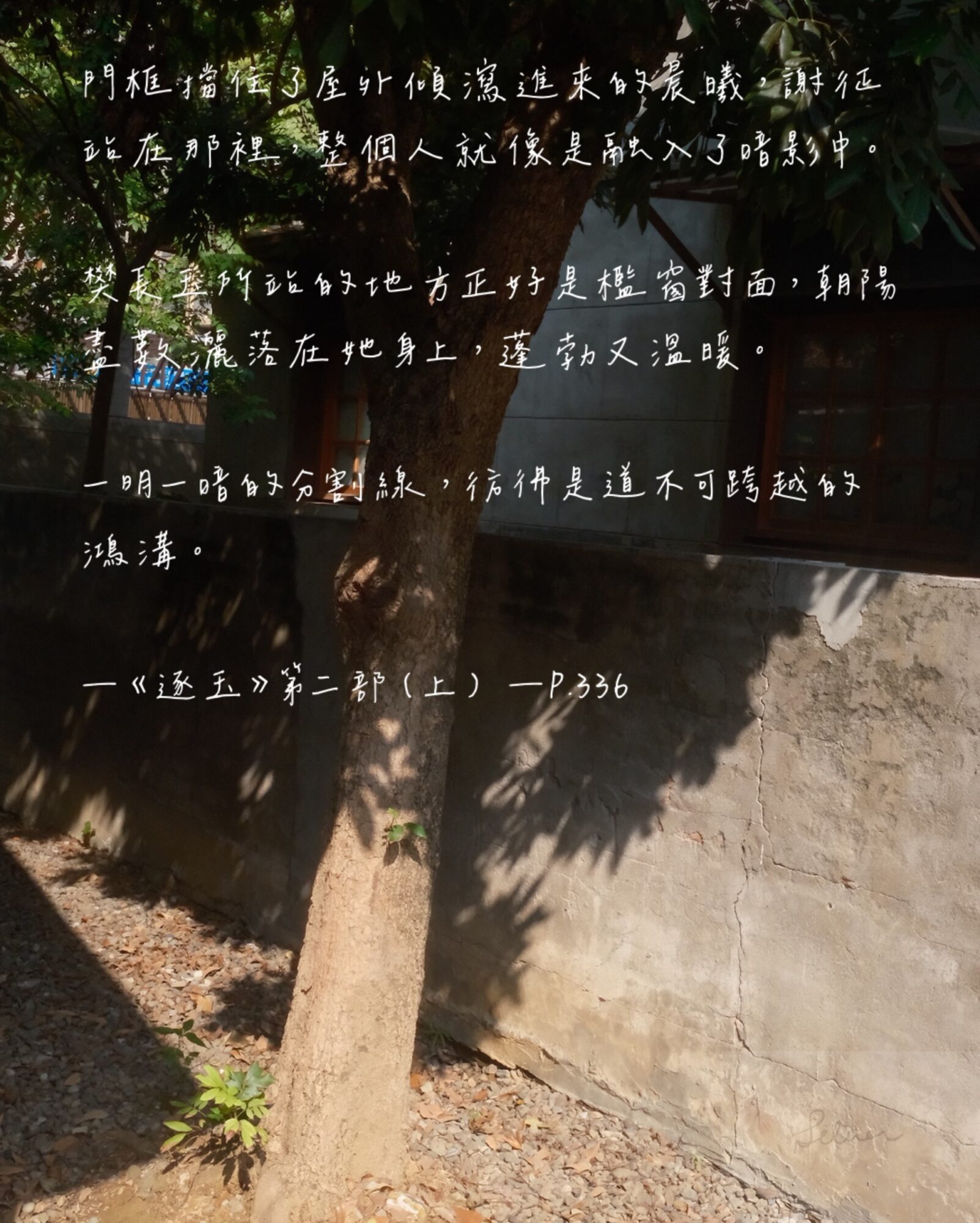 《逐玉》小說第二部（上），關於光影的細緻描寫。圖源：銀杏樹