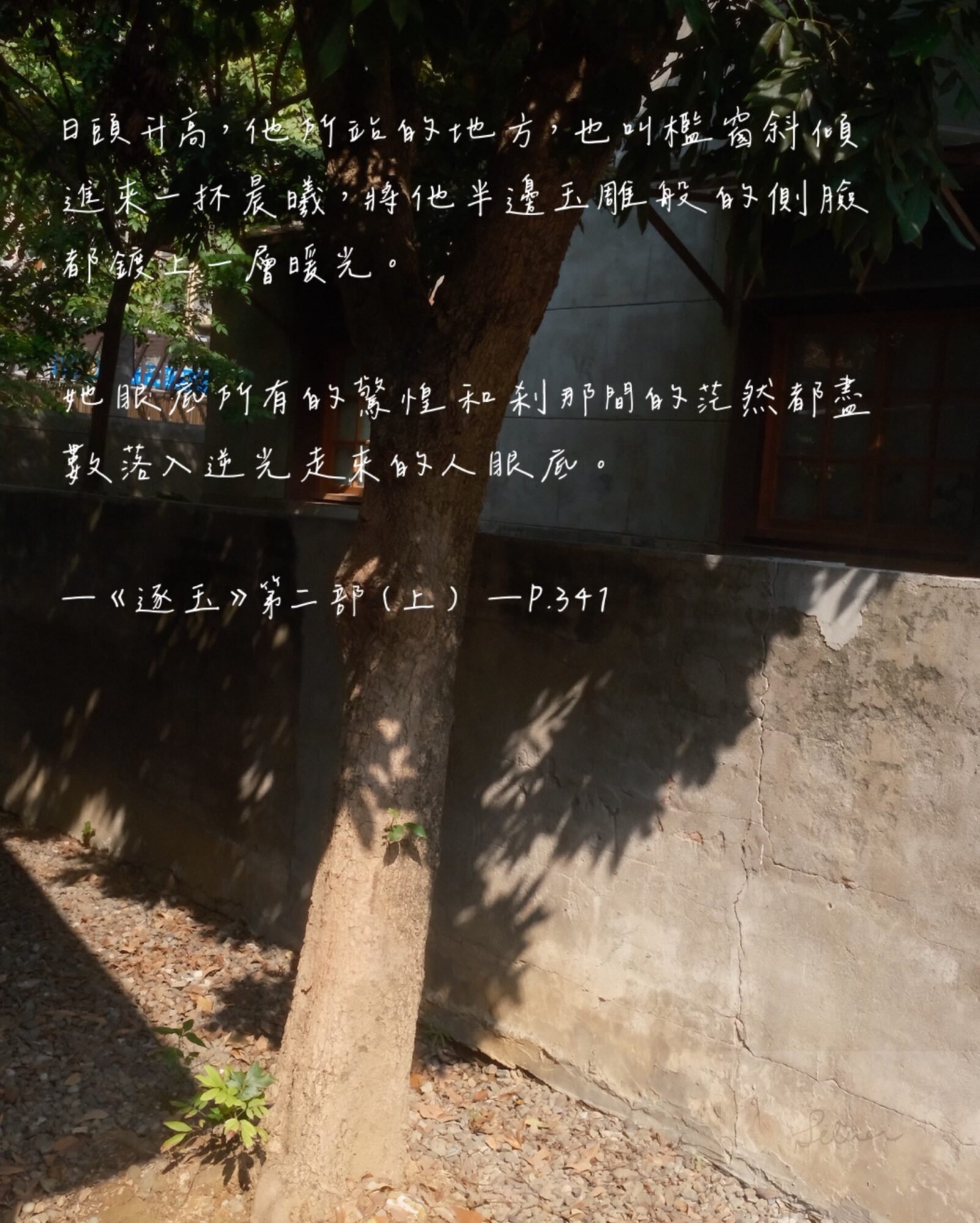 《逐玉》小說第二部（上），關於光影的細緻描寫。圖源：銀杏樹