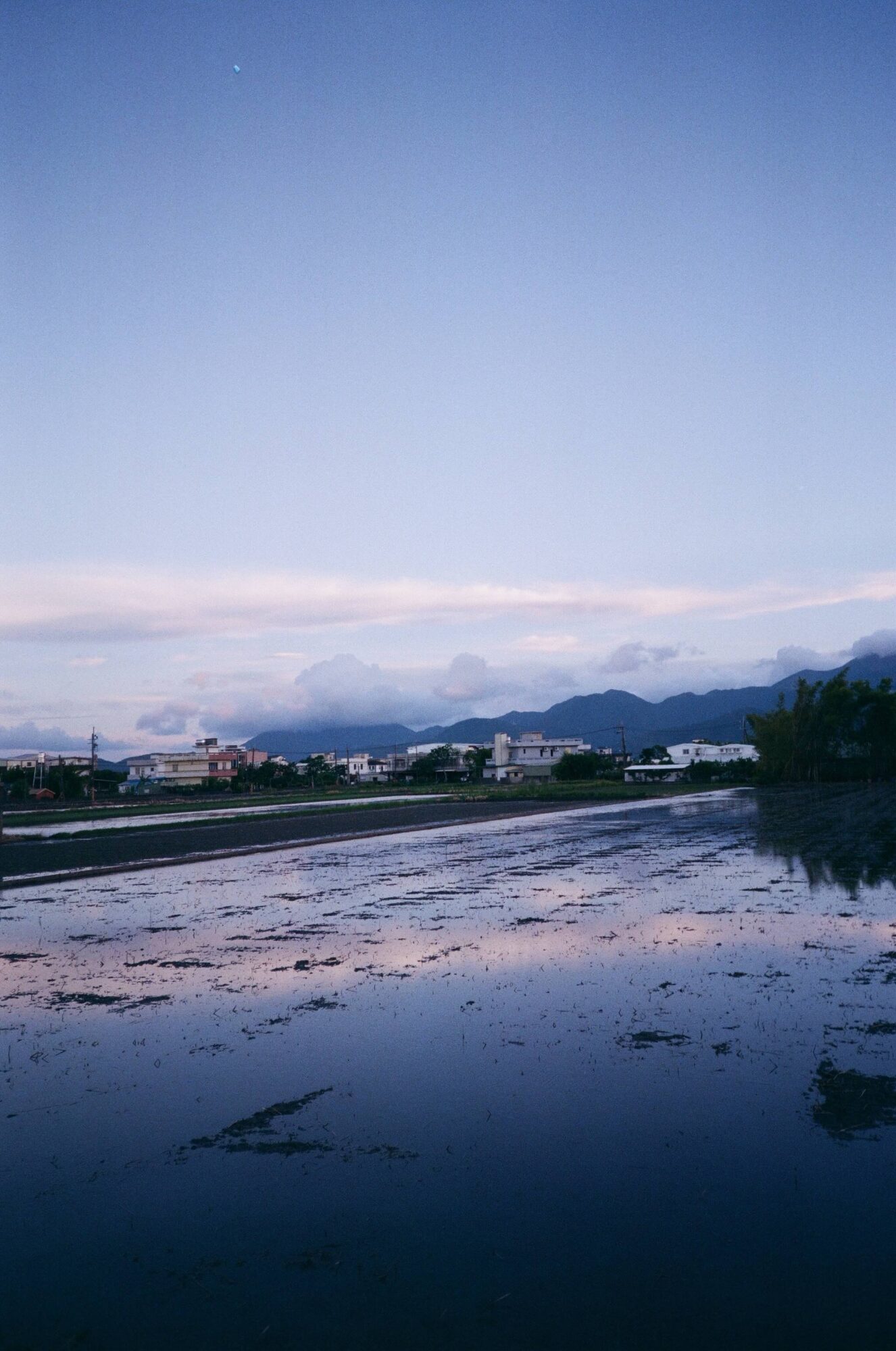 宜蘭水田倒映黃昏天色與遠山