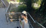 Iku Lin