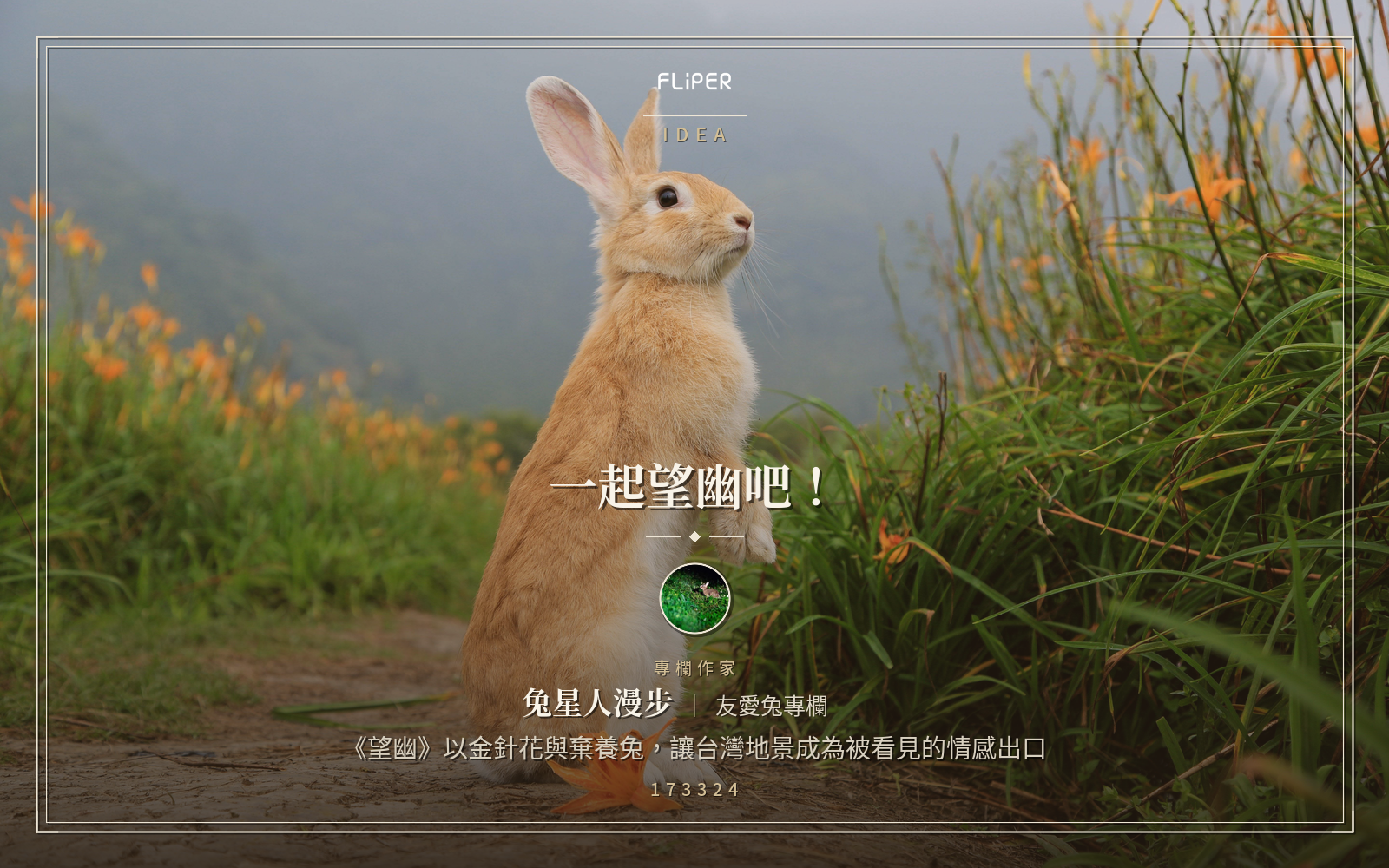 一起望幽吧！